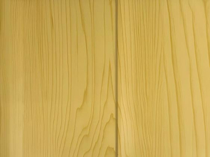 Деревянная текстура внутренней стены переформовывает изоляционную панель стальной конструкции