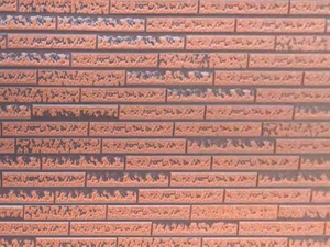 Длинный камень Декоративные материалы Изоляционная плита для внутренней и наружной отделки стен для мобильных домов