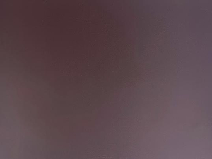 Металлическая сэндвич-панель с плоской текстурой для изоляции стен крыши