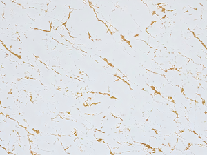 Изоляционные панели с мраморной текстурой Декоративные стеновые панели