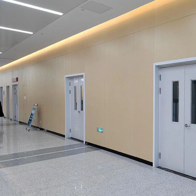 Влагостойкие панели для внутренних стен из ПВХ для школ и торговых центров